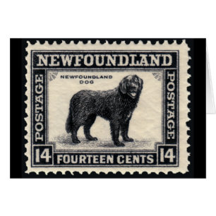 Cadeaux de timbres de chien de Terre-Neuve