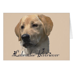 Cadeaux du Labrador Retriever