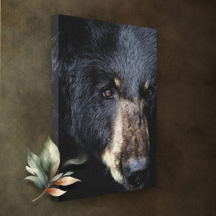 Cades Cove Black Bear Canvas Print Leinwanddruck