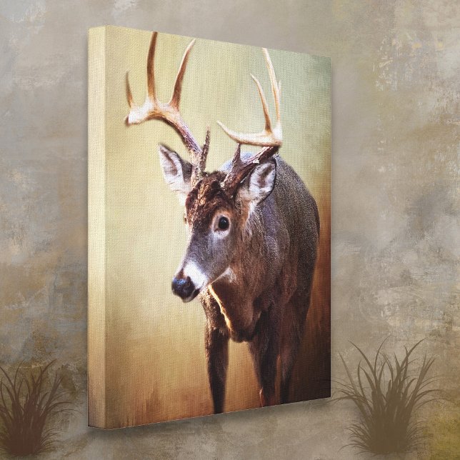 Cades Cove Buck Canvas Print Leinwanddruck (Von Creator hochgeladen)