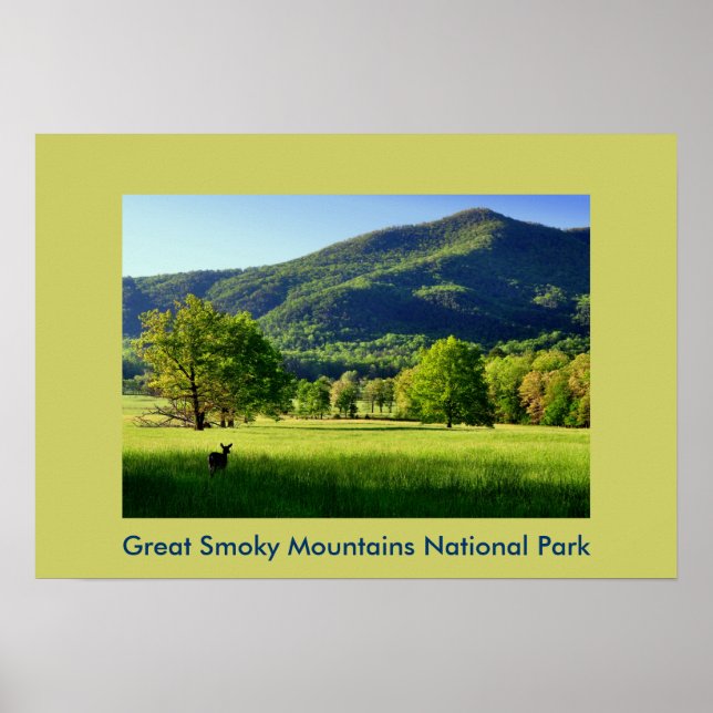 Cade's Cove Foto Grußkarte Poster (Vorne)