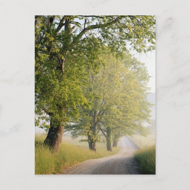 Cades Cove | Great Smokey Mountains, TN Postkarte (Vorderseite)