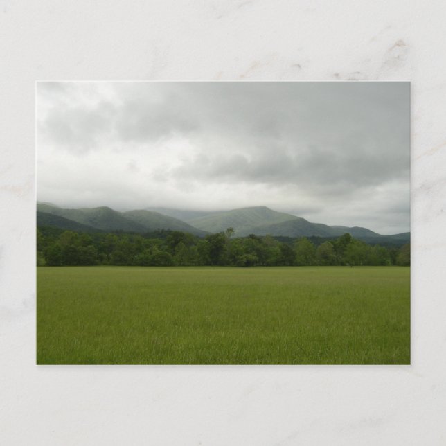 Cades Cove, Great Smoky Mountains NP, TN Postkarte (Vorderseite)