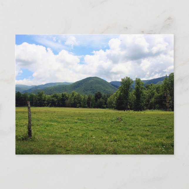 Cade's Cove Postkarte (Vorderseite)