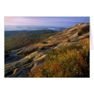 Cadillac Mountain Acadia Nationalpark