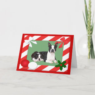 Cadre de la carte de Noël Boston Terrier