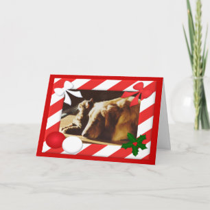 Cadre de la carte de Noël Golden Retriever-Cat