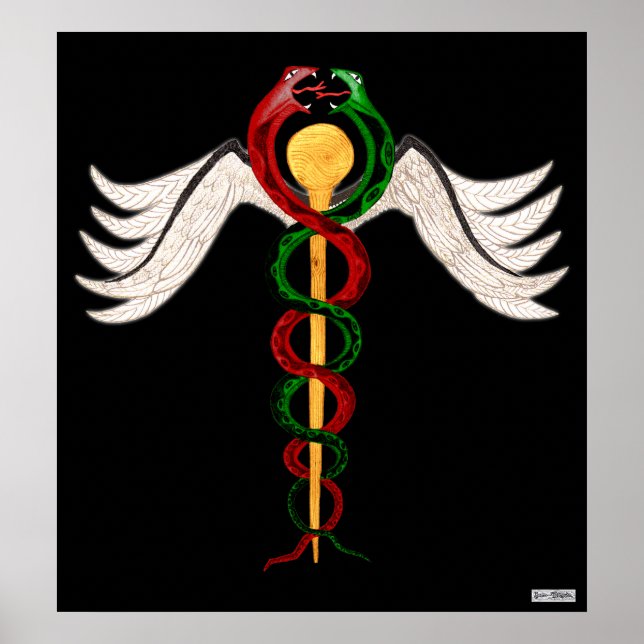 Caduceus Poster (Vorne)