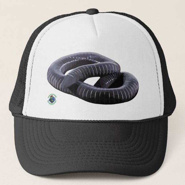 Caecilian Trucker Hat Truckerkappe (Vorderseite)
