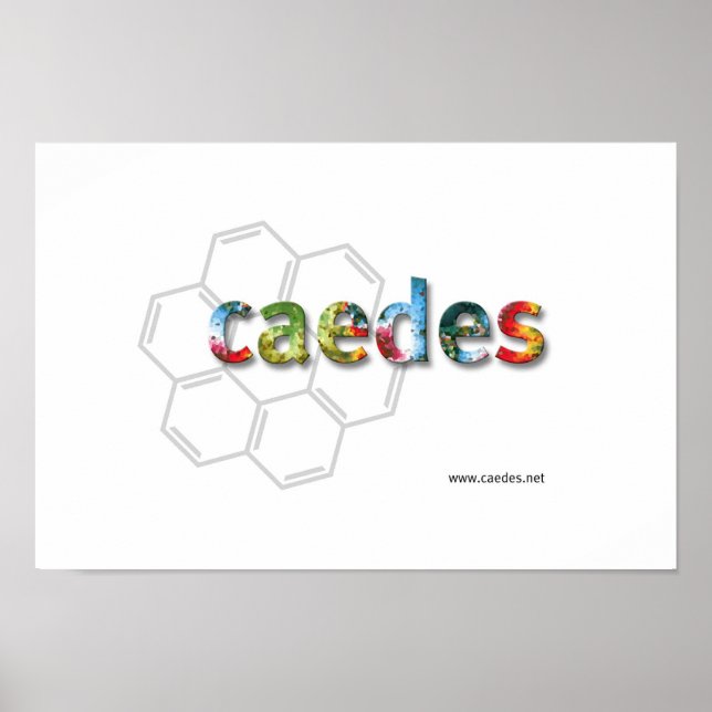 Caedes.net Logo Poster (Vorne)