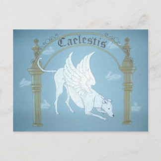 Caelestis "Hund of Heaven" Postkarte