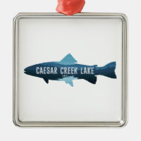 Caesar Creek Lake Ohio