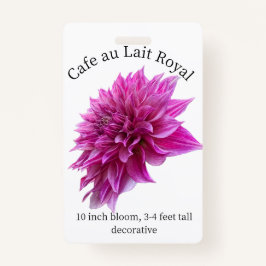 Cafe au Lait Royal Dahlia ID Abzeichen Ausweis