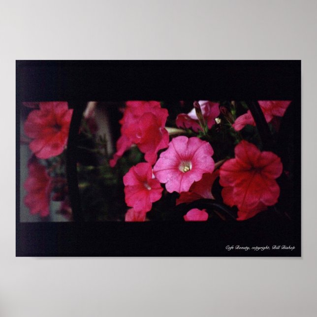 Cafe Beauty Poster (Vorne)