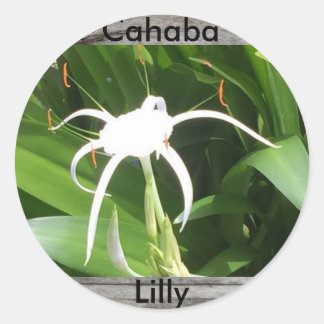 Cahaba-Limaba-Aufkleber Runder Aufkleber