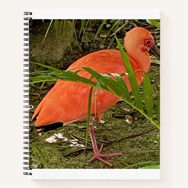 cahier (Devant)