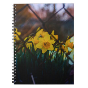 Cahier à reliure spirale de photo d'art fin de jon