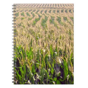 Cahier à reliure spirale Lignes sans fin de maïs