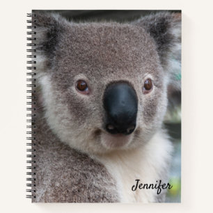 Cahier à spirale avec un ours koala mignon