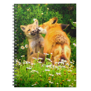 Cahier à spirale Faons de renard roux   Journal de