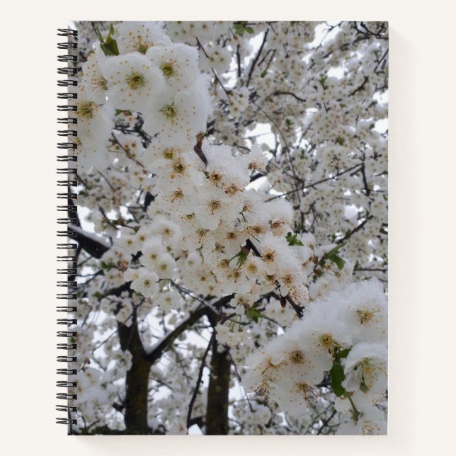 Cahier à spirale Fleur enneigée (Devant)