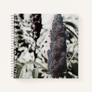 Cahier à trois spirales