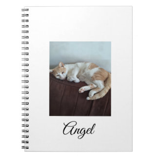 Cahier Ange le Chat Sassy