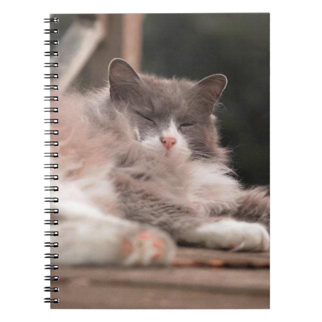 Cahier Chat Fluffy Endormi Cozy (Devant)