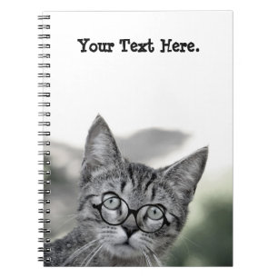 Cahier Chat Mignon et Surpris avec des Lunettes