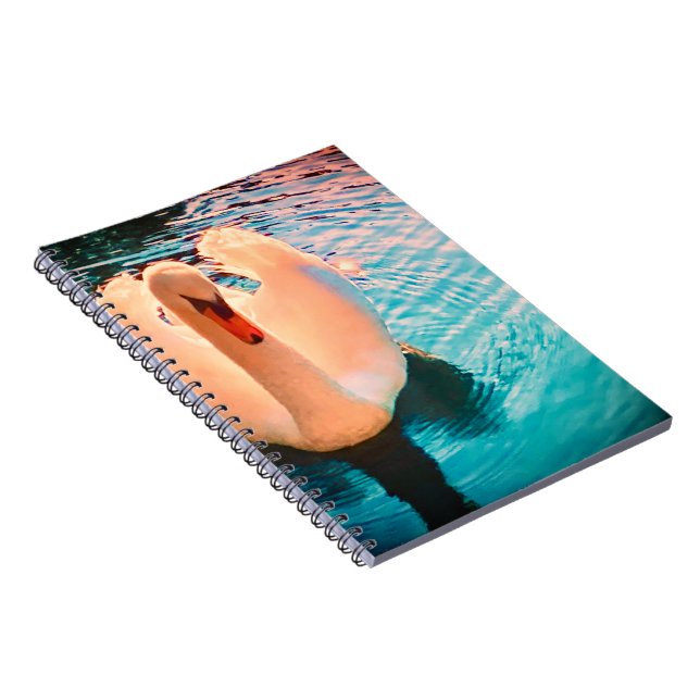 Cahier Cygne (Côté Droit)