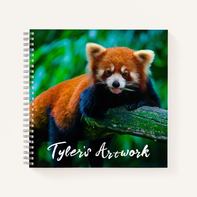 Cahier de croquis Panda roux  (Devant)