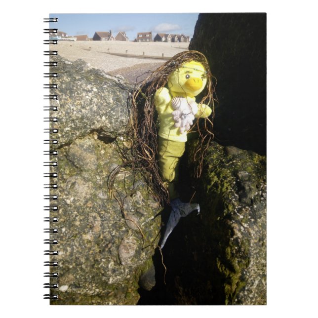 Cahier de Danni la Sirène (Devant)