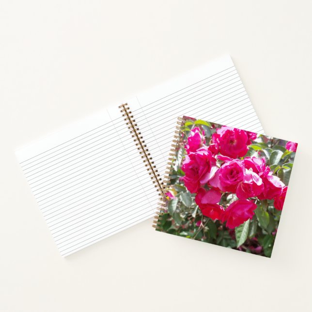 Cahier de notes Glamour Roses (Intérieur)