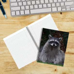 Cahier de photos de la faune de Raton laveur de fo