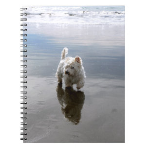 Cahier de photos de réflexions de Westie de plage