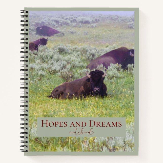 Cahier d'espoir et de rêves (Devant)