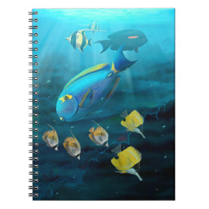 Cahier du récif corallien