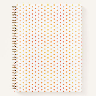 Cahier Ombre Sunburst Point - XS