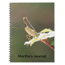 Cahier personnalisé papillon aux grands yeux en gr