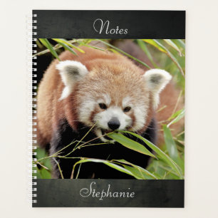 cahier Photo panda rouge, animaux 02. carnet