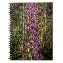 Cahier photo spirale d'orchidées