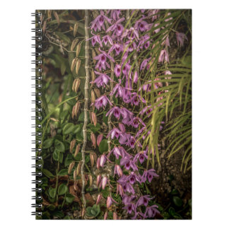 Cahier photo spirale d'orchidées