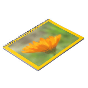 Cahier - Souci