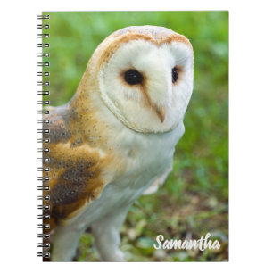 Cahier spirale Chouette effraie