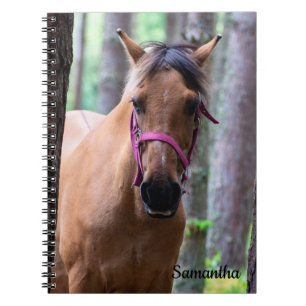 Cahier spiralé du cheval de Fjord norvégien