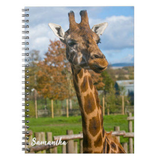 Cahier spiralé girafe