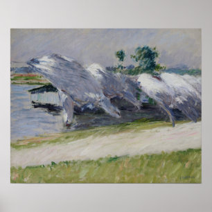 Caillebotte - Wäschetrocknen Poster