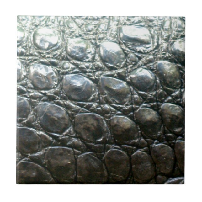 Caiman Crocodile Imitate Alligator-Skin-Design Fliese (Vorderseite)