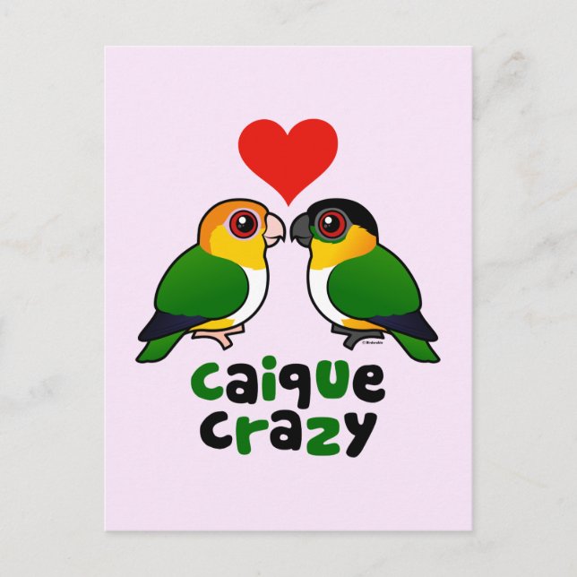 Caique Crazy Postkarte (Vorderseite)