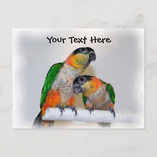 Caique-Papageien-Paar-kundengerechte Postkarte (Vorderseite)